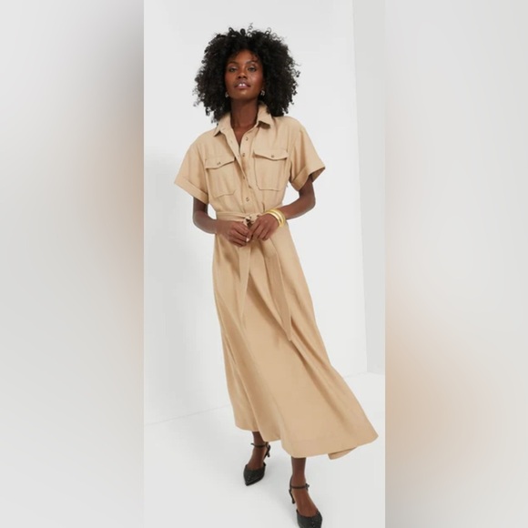 TUCKERNUCK Tan Lucienne Maxi Dress NO BELT - Picture 2 of 16